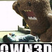 owned-domo.jpg