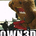 owned-domo2.jpg