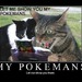 mypokemans.jpg