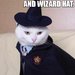 wizcat.jpg